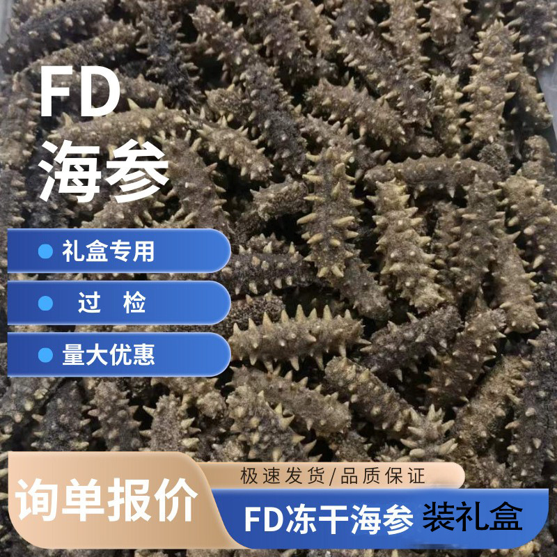 海参干货一件起批FD冻干海参散装批发小参鲍多 款水产礼盒用参