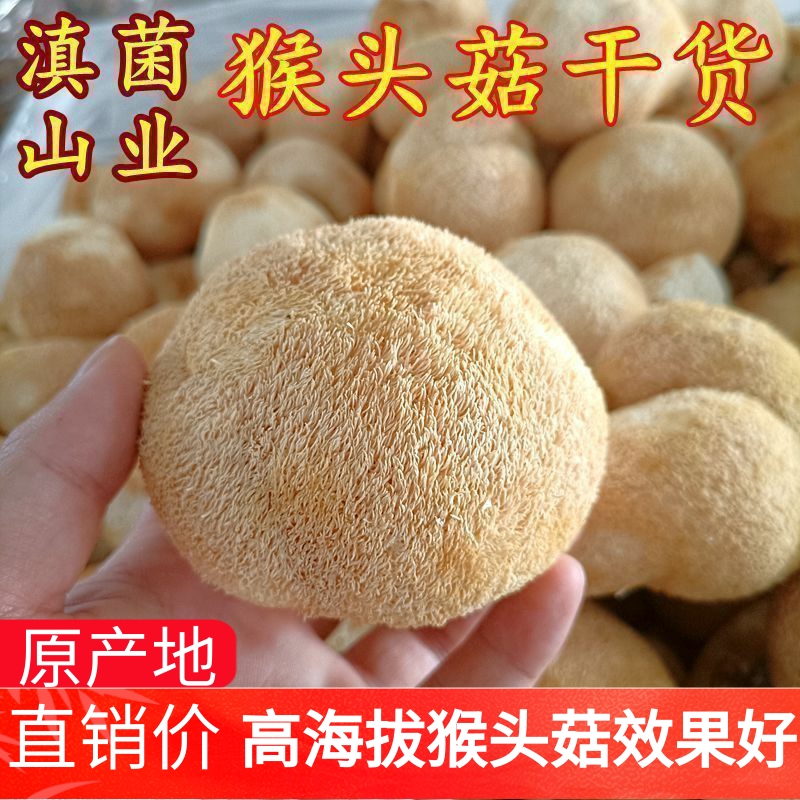 猴头菇干货 云南山珍特级精品猴头菇500克可打粉养胃煲汤食材家用